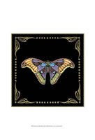 Cloisonne Butterfly Fine Art Print