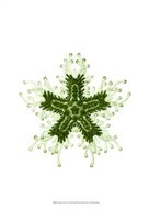 Ocean Gems IV Fine Art Print