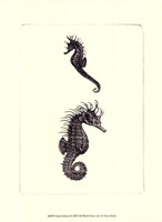 Sepia Seahorse Fine Art Print