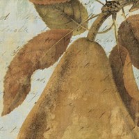 Joli Fruit II Fine Art Print