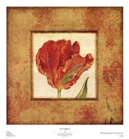 Les Tulipes I Fine Art Print