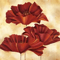 Three Poppies I Fine Art Print