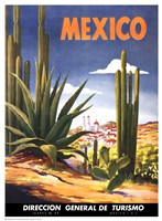 Cacti, Mexico Fine Art Print