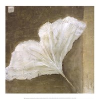 Soothing Ginko Fine Art Print