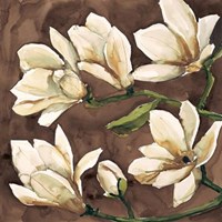 Fiori Di Magnolia Fine Art Print