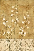 Blossoms In Gold II Fine Art Print