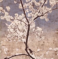 Cherry Blossoms I Fine Art Print