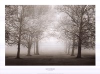 Layers Of Trees II by Igor Svibilsky - 30" x 22"