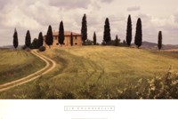 Springtime In Tuscany by Jim Chamberlain - 36" x 24"