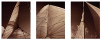 Windward Sails Triptych by Alan Hausenflock - 38" x 15"