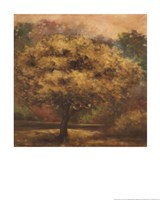 Tree Cast IV Fine Art Print