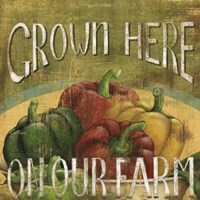 From The Market I Framed Print