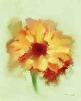 Gerber Fine Art Print