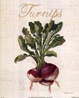 Turnips Fine Art Print