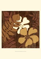 Calypso Floral I Fine Art Print