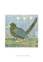 Flight Patterns II Fine Art Print