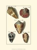 Neptune's Treasure I Fine Art Print