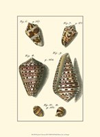 Neptune's Treasure III Fine Art Print