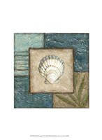 Shell Montage IV Fine Art Print