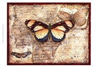 Poetic Butterfly I Fine Art Print