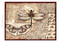 Poetic Dragonfly I Framed Print