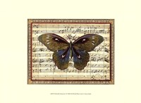 Butterfly Harmony I Fine Art Print