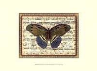 Butterfly Harmony II Fine Art Print