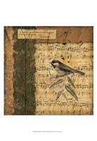 Bird Melody I Framed Print