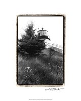 Owl's Head with Tree Fine Art Print