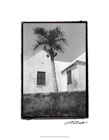Bermuda Shade Fine Art Print