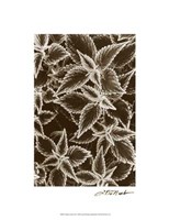 Garden Textures III Fine Art Print