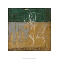Pressed Wildflowers II Fine Art Print