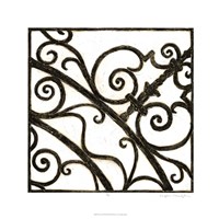 Iron Gate II Framed Print