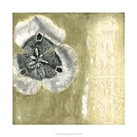 Celadon in Bloom II Framed Print