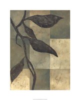 Tortoise Shell I Fine Art Print