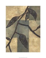 Tortoise Shell II Fine Art Print