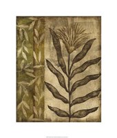 Plant Exotica I Fine Art Print
