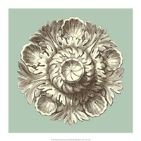Celadon and Mocha Rosette III Fine Art Print