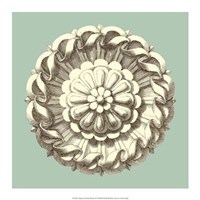 Celadon and Mocha Rosette IV Fine Art Print