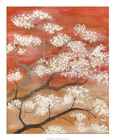 Mandarin Mist II Fine Art Print