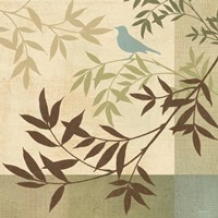 Made by Nature II Framed Print