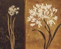 Yin Yang I Fine Art Print