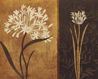 Yin Yang II Fine Art Print