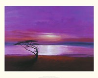 Calm Horizons Fine Art Print