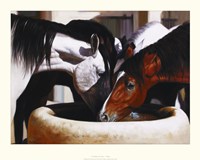 Cool Water Fine Art Print