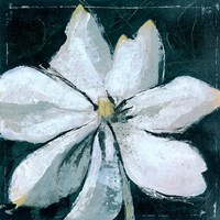 Black And White Digressions III Fine Art Print