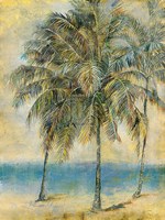 Palm Hammock II Fine Art Print