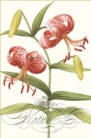 Modern Atelier II Fine Art Print