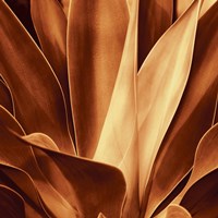 Santa Fe I Fine Art Print