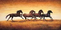 Stallions at Sunset Fine Art Print